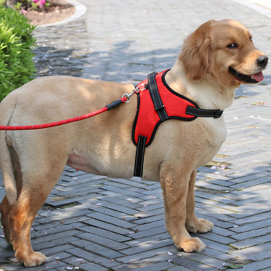 Medium/Large Dog Harness Collar