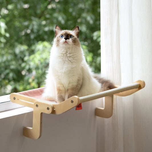 Pet Cat Window Perch