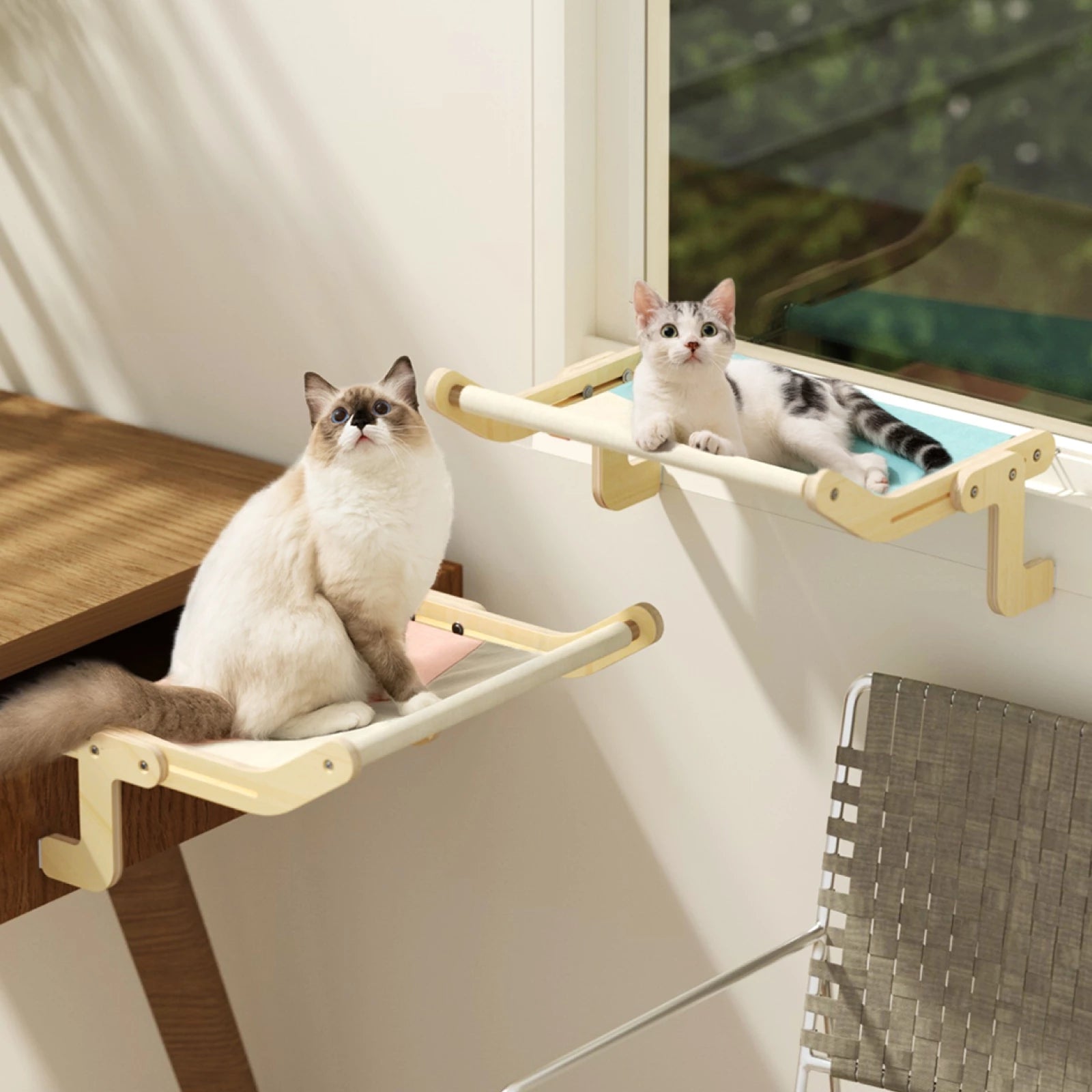 Pet Cat Window Perch