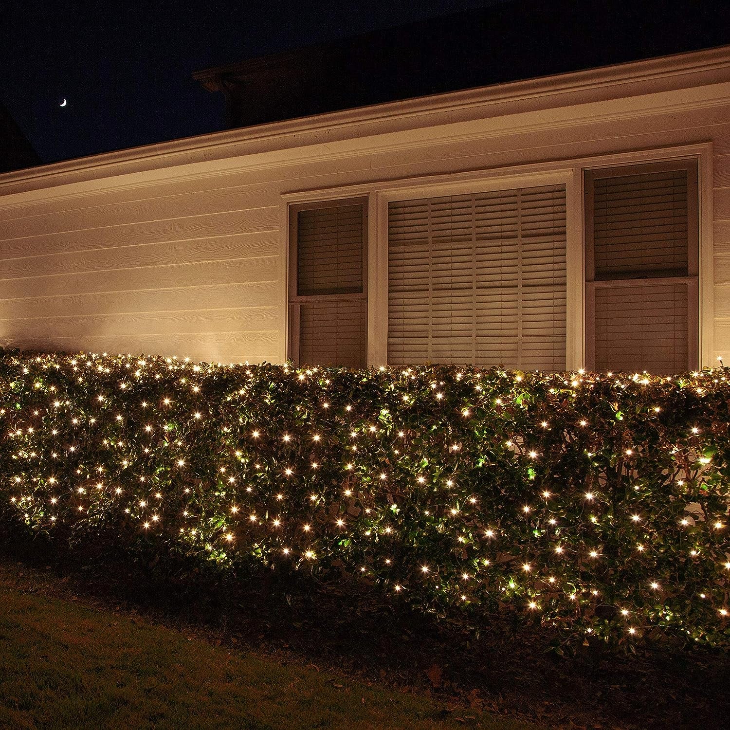 Decorative Net Lights 