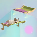 Pet Cat Window Perch