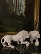 The Medici & Vacca Lions